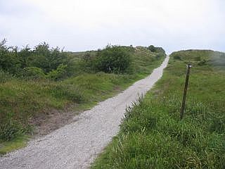 Het strand van Schiermonnikoog