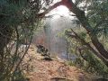 weekend natuur