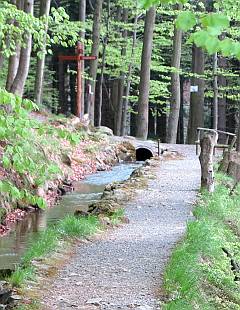 bergwandelen