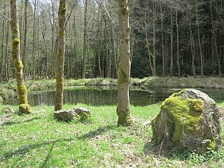 Nationalpark Harz