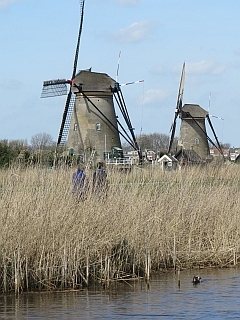 Texel