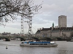 City Cruises