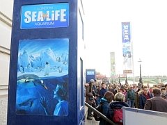 Sealife Aquarium