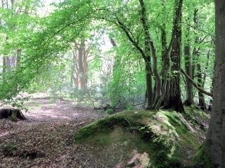 wandelen Teutoburger Wald