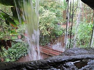 waterval Burgers'Zoo