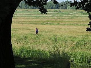 attracties Den Bosch