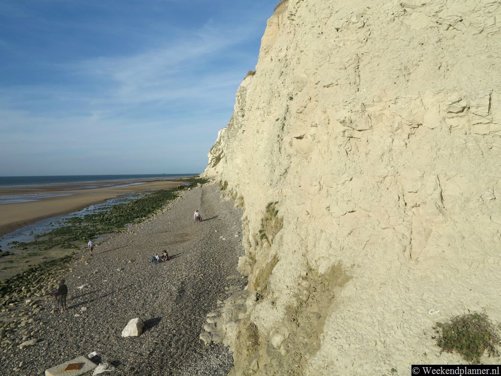Bij laag water is hier een mooi strand waar veel te ontdekken is. Zo vind je op het strand stenen met fossielen en in het water leven veel zeedieren.Tip: Het dorp Escalles bij Cap Blanc Nez..