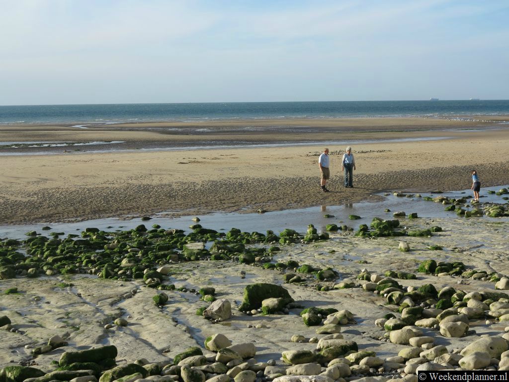 Op het strand tussen Wisant en Escalles kun je zoeken naar fossielen. Er is in de tweede wereldoorlog flink gevochten dus pas op voor eventuele niet ontplofte munitie.Tip: Fossielen zoeken op het strand.