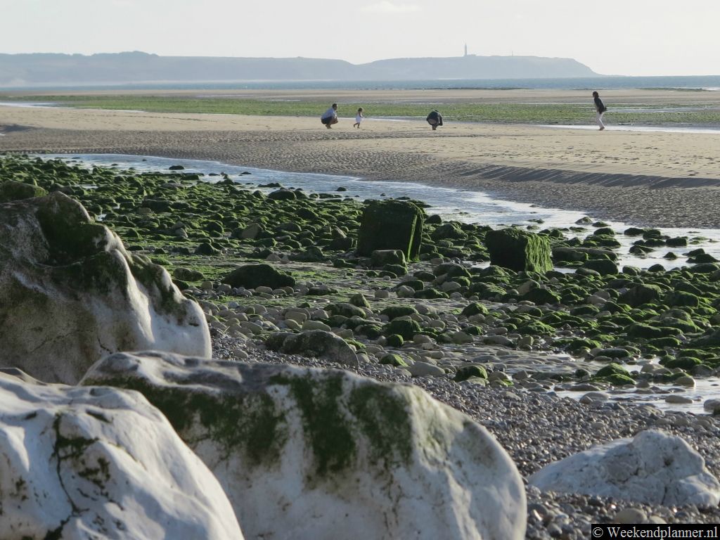 Je kunt over het strand van Escalles naar de badplaats Wissant lopen. Als je iets verder loopt kom je bij de grijze kaap, de Cap Gris-Nez. Tip: De mooie kust bij Calais.