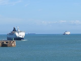 Haven van Dover