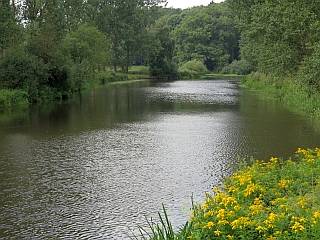 Dommel