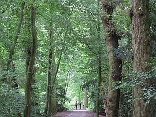 Landgoed Haanwijk