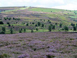 National Park North Yorkshire