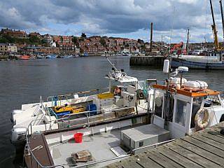 Whitby zeevissen