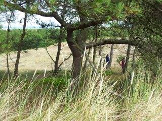 Vlieland