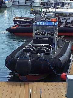 zeehondentocht Vlieland