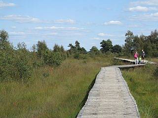 wandelen in de Peel