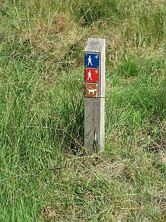 route