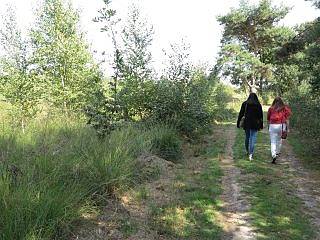 wandelen