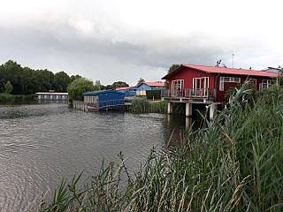 Haje