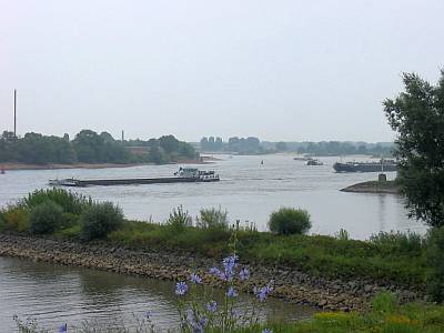 De Waal
