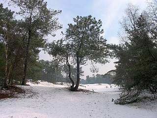 Roestelberg