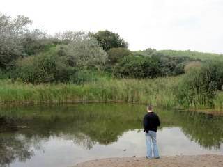 Kennemerduinen