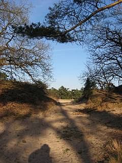 natuurgebieden overnachten