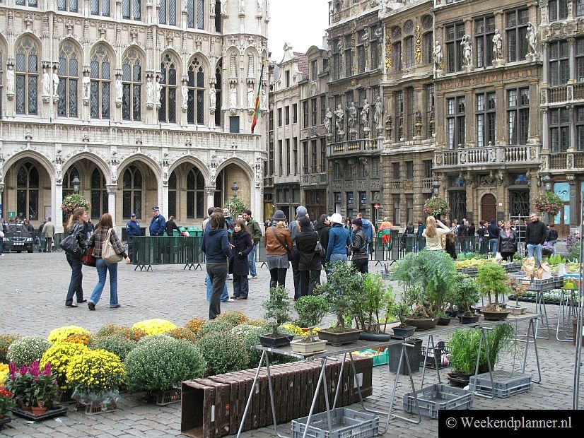 Door de week wordt er in de ochtend op de Grote Markt een bloemenmarkt gehouden.Foto's van de  binnenstad van Brussel