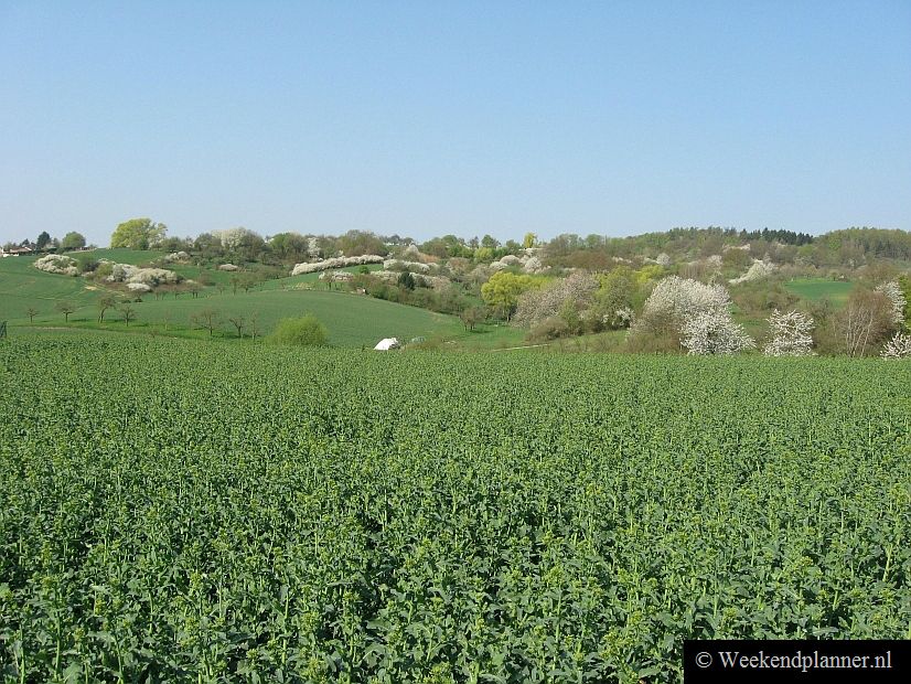 Het landschap rond Hösbach en Goldbach is heuvelachtig en geschikt voor lange fietstochten en wandelingen. 