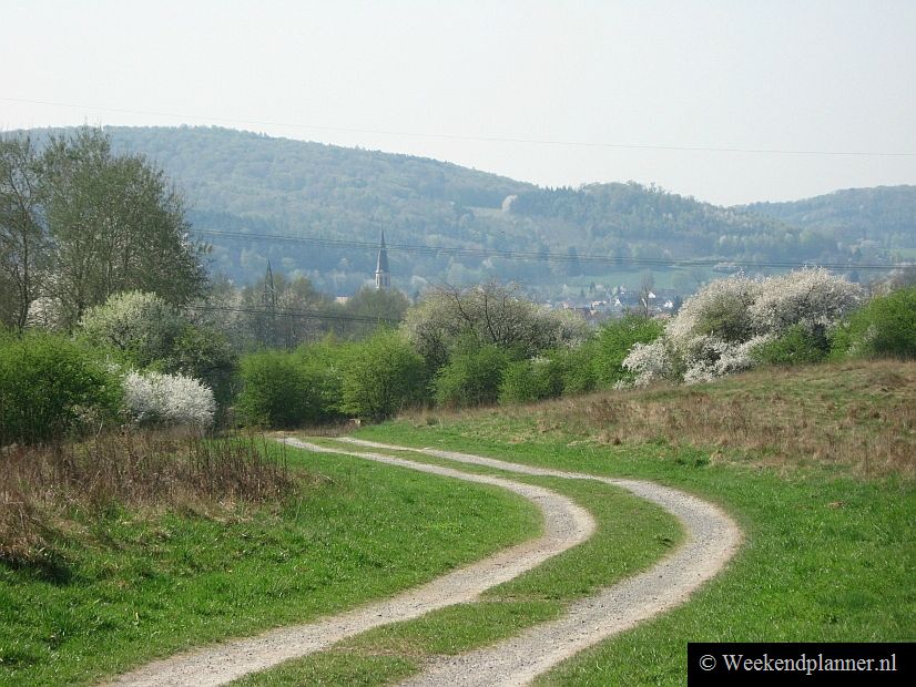 De dorpen Hösbach en Goldbach liggen in het Naturpark Spessart. Als je van wandelen en fietsen houdt moet je hier zijn. Je kunt bij Hotel Gerber in Hösbach fietsen huren.