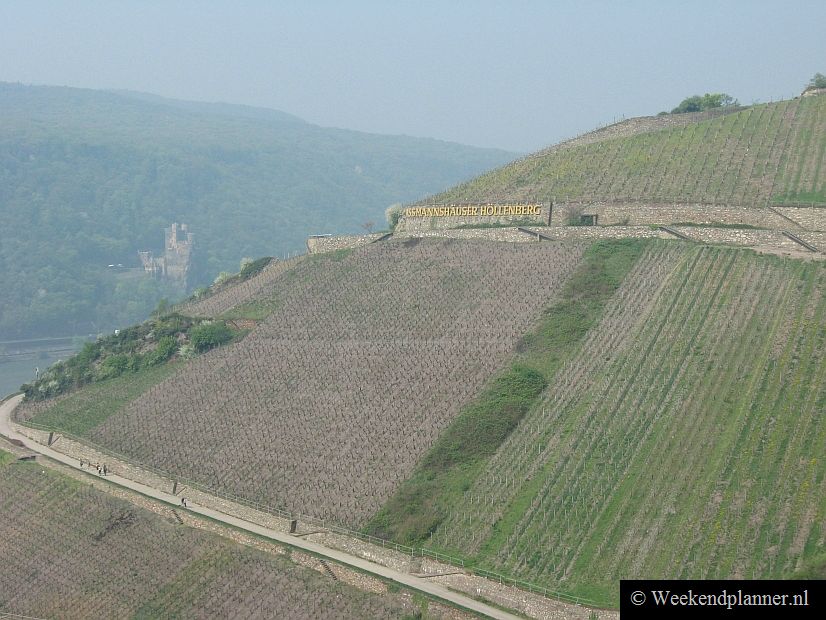 Bekende wandelroutes door het Rijndal zijn de Rheinsteig tussen Wiesbaden en Bonn en de Riesling-Route. Uiteraard kun je ook een fiets huren of gewoon gaan hiken in de heuvels rond plaatsen als Rüdesheim, Assmannshausen of Boppard.