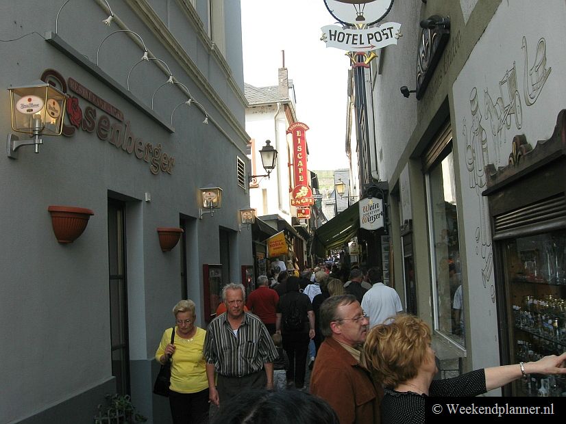 Rüdesheim is een mooie stad op de grens van het Reindal en de wijnstreek Rheingau. De Rheingau strekt zich uit langs de Rijn tot aan Wiesbaden (26 km). In Rüdesheim trekken de wijnkelders en cafés in de Drosselgasse veel toeristen. 