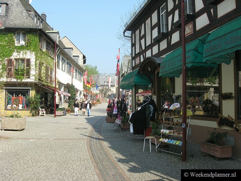 In Rüdesheim zie je natuurlijk het mooie centrum maar je kunt er ook fietsen huren en daarmee de omgeving verkennen. Niet alleen het Rijndal is prachtig om te zien maar ook het heuvelachtige landschap van de Rheingau met zijn wijngaarden is een fietstocht waard.
