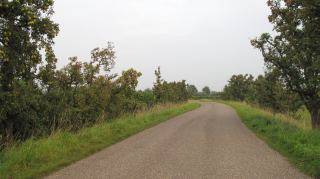 Appeldijk