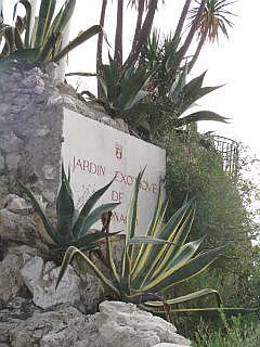 Jardin Exotique in Monaco