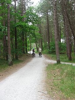 Waddeneilanden