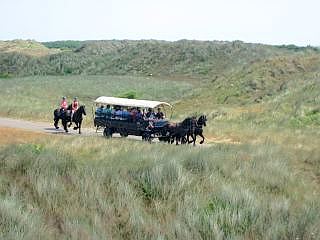 Terschelling paardrijden
