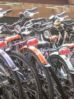 Fietsen verhuur Vlieland