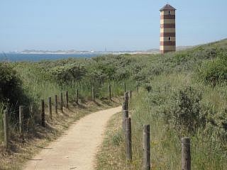Dishoek