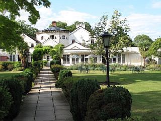 brasserie