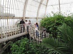 Kew Gardens