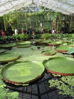Kew Gardens