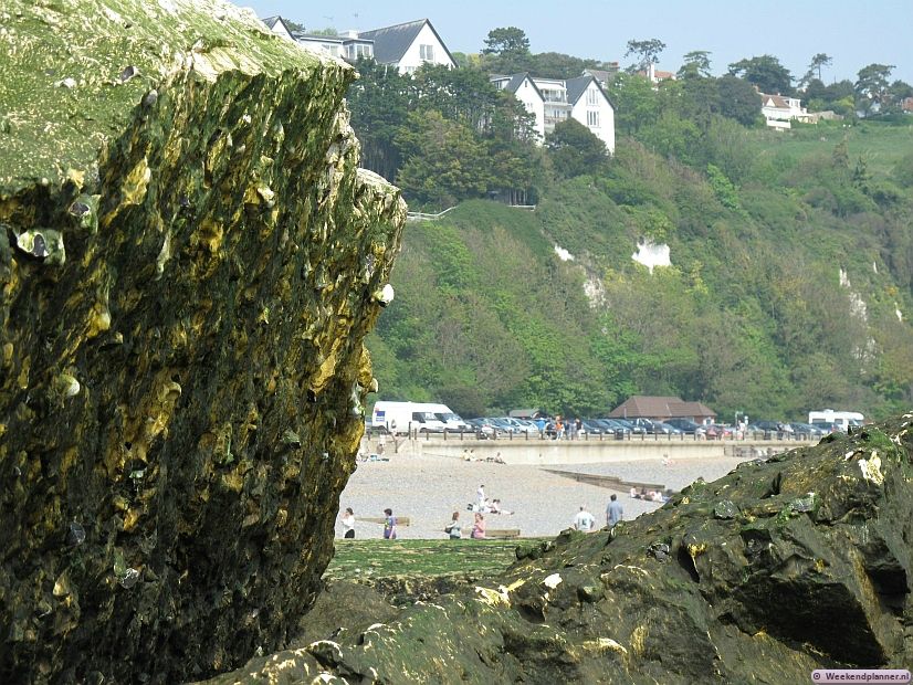Bij Dover en hier bij St Margaret's Bay is de erosie minder dan bij de krijtrotsen van Eastbourne. Vandaar dat het krijt hier en daar begroeid is. Tips: De  mooiste witte klippen van Engeland.