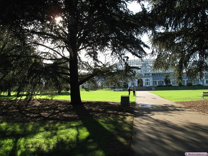 Kew Gardens is een prachtige botanische tuin tussen Kew en Richmond. De kassen en paviljoenen zijn grotendeels gebouwd in Victoriaanse stijl. Rond Richmond is veel natuur dus als je van wandelen, fietsen of varen houdt  zit je hier goed..Tips: Een bezoek aan Kew Gardens.