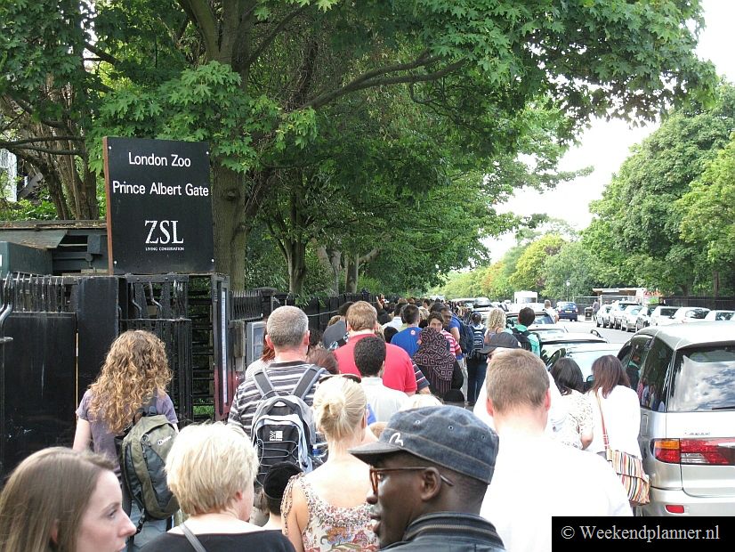 In het weekend kan er een lange rij voor de dierentuin staan. Koop je kaartjes dus online! Tip: Kaartjes voor de dierentuin.