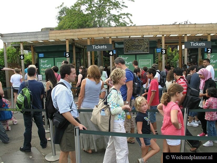 De kassa's van de London Zoo. Als je online kaartjes gekocht hebt is er een andere ingang.