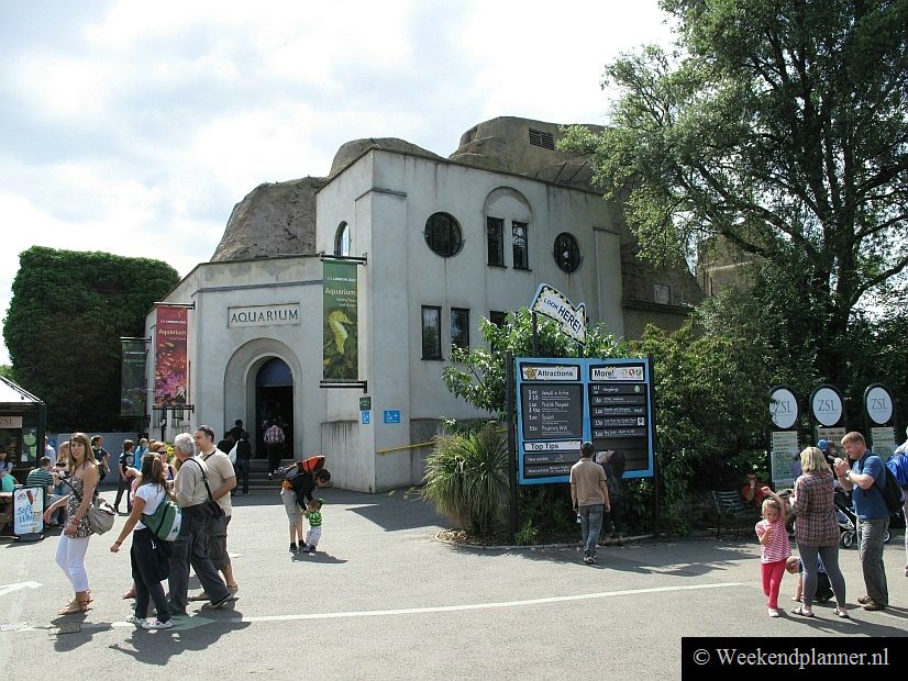In het Aquarium uit 1921 vindt u een koraalrif, de Amazone, en er is een afdeling waar zeldzame vissen gekweekt worden.
