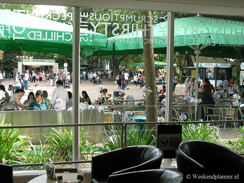 Het uitzicht vanuit het zelfbedieningsrestaurant.