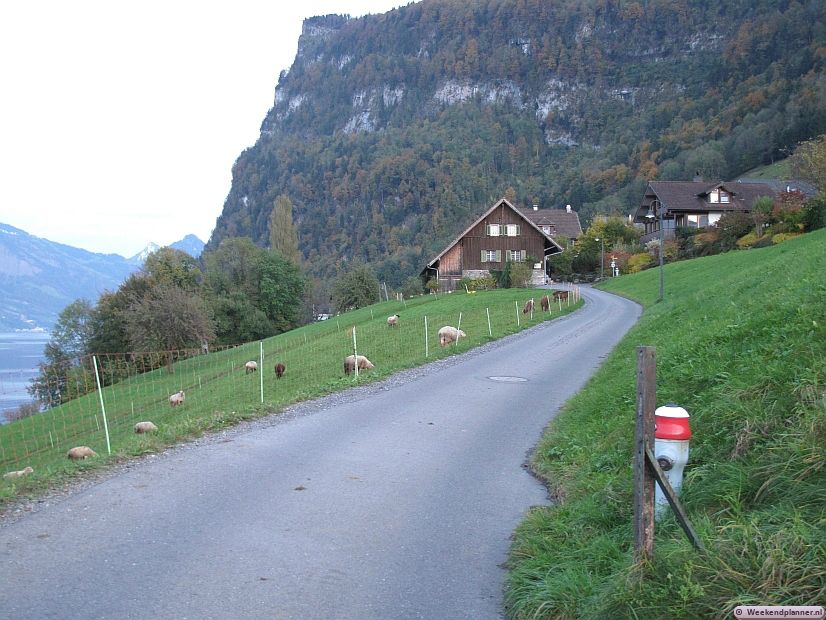 Ongeveer een kilometer van Standsstad ligt het dorpje Kehrsiten. Vanuit Stansstad  loopt een smalle weg langs het meer naar  Kehrsiten.  Tips: Mooie plaatsen  in Zwitserland.